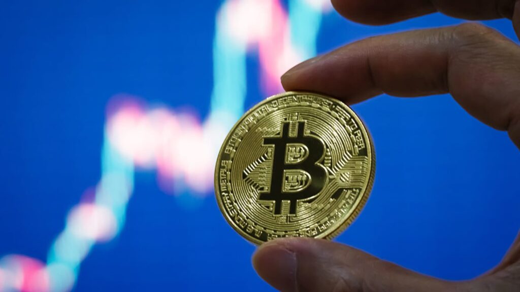 Investment platform cautions traders to steer clear of bitcoin and